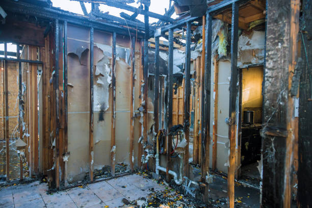 Professional Fire Damage Repair technician working in Waverly, MN